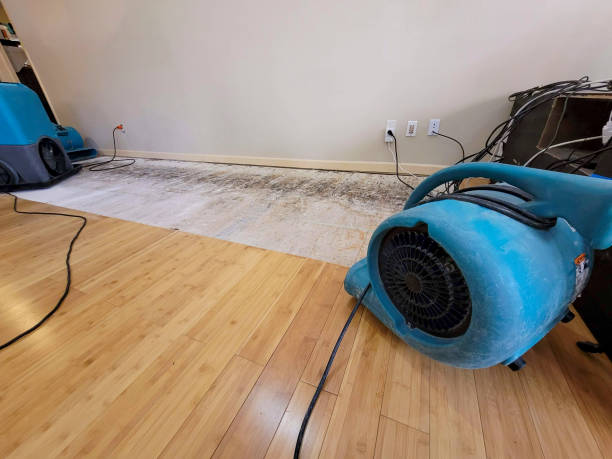 Professional Sewage Cleanup technician working in Springville, TN
